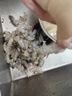 沃鲜汇 大虾海虾 厄瓜多尔白虾 大青虾 生鲜 虾类 海鲜水产 进口鲜活 50/60规格 1.65kg(净重)  盐冻款【净重3.3斤 只只分离】 实拍图