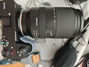 腾龙（Tamron）B061S 18-300mm F/3.5-6.3 Di III-A VC VXD防抖远摄变焦微单镜头（APS-C专用E口） 实拍图