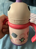 babycare儿童保温杯婴儿宝宝吸管水杯霸王龙不锈钢保温杯300ml-新旧款混发 实拍图