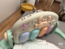 babycare婴儿健身架玩具钢琴游戏毯0-1岁音乐礼盒新生男女礼物蓝牙新生礼 【热卖爆款】忠犬健身架-附赠电池 实拍图