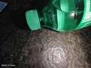 可口可乐（Coca-Cola）檀健次代言雪碧 Sprite 柠檬味  碳酸饮料 300ml*12瓶 整箱装   实拍图