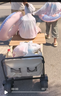 匹克（PEAK）户外露营车 折叠野餐车坦克轮营地车便携买菜带娃游玩宠物小推车 实拍图