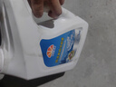 昆仑征途防冻液-45℃汽车冷却液红色绿色水箱宝发动机冷冻液四季通用4公斤 4kg -15°C 红色 实拍图