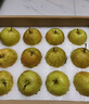 京地达梨砀山翠玉梨翠冠梨新鲜香梨子水果净重8.8斤单果250g+源头直发 实拍图