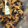 三只松鼠四色葡萄干500g 果干新疆特产休闲零食无核葡萄干 实拍图