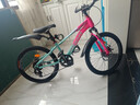 凤凰山地自行车男女变速山地车碟刹青少年儿童自行车学生单车 星际 蓝玫【变速+辐条轮】 22寸【适合130-170cm】 实拍图