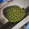 市舶士马来西亚猫山王榴莲D197整果树熟液氮冷冻榴莲进口水果礼盒 【拍下升AA级2.6-3.0斤发】A级精品 2.6-3.0斤 实拍图