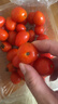 新鲜采摘圣女果樱桃小番茄蔬菜 带箱1斤精选果 实拍图