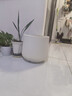 植卉居塑料花盆轻奢高级感发财树盆景蝴蝶兰专用室内大型绿植花盆 JB聚宝盆-330【26.8*30】配托盘 一套装 实拍图
