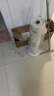 艾美特（AIRMATE）【超级单品】暖风机/石墨烯取暖器/电暖器/电热取暖器 家用全屋升温电暖气小型小太阳热风机 K72 实拍图