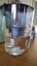 飞利浦（PHILIPS）净水壶 滤水壶 家用过滤壶 厨房自来水过滤器 滤水器 过滤器滤芯 便携净水杯 AWP2814蓝色/白色 【专家版滤芯】整箱12枚 实拍图