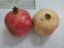 京鲜生突尼斯软籽甜石榴4.5-5斤装 单果250g+ 时令水果 源头直发包邮 实拍图