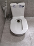 星雨洁 台式蹲便器 坐便器马桶改蹲坑免砌台安装陶瓷水箱一体防臭大便器 300坑距存水弯款带喷枪（包安装-不拆旧） 实拍图