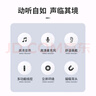 纽曼XL13typec耳机线控有线音乐手机数字耳机type-c版入耳式磁吸耳头适用于苹果华为小米等 铁灰色 实拍图