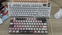 狼蛛（AULA）S98机械键盘有线/蓝牙/无线三模连接Gasket结构插拔2U0游戏办公键盘98配列 【无线版】S98小拽猫-混光 青轴 实拍图