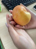 正宗山东蒙阴彩虹黄金油蟠桃新鲜油桃子脆甜水果应季黄心扁桃整箱 5斤 高品质+一级甄选 实拍图