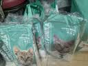 凯锐思猫粮幼猫猫粮1-12月奶糕助力免疫鲜肉冻干双拼幼猫粮 【4-12月助力免疫】经典鱼肉味 10kg（送30支猫条） 实拍图