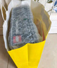 乐高（LEGO）积木拼装机械组系列42213 福特烈马SUV男孩儿童玩具生日礼物 实拍图