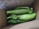 新鲜青尖椒超市生鲜蔬菜下饭菜虎皮尖椒鸡蛋伴侣 专享 2斤 含箱 实拍图