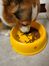 冠能狗粮体重控制绝育犬成犬狗粮全价7kg 高蛋白低脂肪健康减轻体重 实拍图