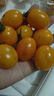 黄金玲珑圣女果迷恋樱桃番茄西红柿新鲜黄色水果现摘柿子 5斤（带箱） 实拍图