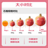 京鲜生 福建红心柚子 2粒 净重5-7斤 单果2.2-3.3斤 生鲜水果柚子礼盒 实拍图