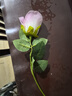 假花仿真花鲜花客厅装饰插花桌面绢花单支玫瑰花台桌干花摆件鲜花 雪山浅粉1支 实拍图