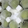 京地达秋月梨砀山秋月梨雪梨香梨子水果送礼净重2.8斤单果300g+源头直发 实拍图