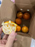 京喜加【双十一抢鲜】冰糖橙甜橙纯甜无酸水果 当季新鲜手剥橙现摘现发 冰糖橙带箱1斤普箱 实拍图
