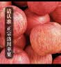 洛川苹果陕西延安特产时令苹果水果礼盒送礼苹果生鲜新鲜脆甜整箱批发 16个90mm 臻选果 礼盒装 实拍图