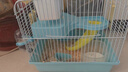 共度（Gong Du）仓鼠笼子 金丝熊笼 豪华迷你仓鼠屋 便携笼 养鼠笼松鼠笼子玩具窝 大城堡-蓝色（27*21*30cm） 实拍图