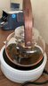茗光2025年新款煮茶壶电陶炉煮茶器小型烧水壶煮茶炉养生壶 实拍图