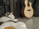马丁（MARTIN）吉他琴弦民谣弦全套木吉他弦 MA535 磷铜（011-052） 实拍图