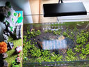 尼奥光鱼缸灯水草灯LED灯S3proRGB植物光谱 【二代】13W尼奥S3plus【适用30-40鱼缸】 实拍图
