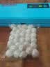 青叶（ShineYe）真空包装机家用全自动打包机干湿食品保鲜机小型商用平面袋抽真空封口机 P-290（天空蓝) 实拍图