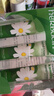 HERBACIN好本清小甘菊新经典护手霜75ml*3三支礼盒装 超值装教师节礼物 实拍图