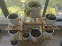 裕轩堂花盆陶瓷家用吊兰蝴蝶兰绿萝带托盘大号个性阳台简约多肉室内套装 梅兰竹菊（四个14厘米） 中等 实拍图