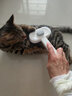 HELLOJOY狗狗梳子猫毛清理狗毛梳毛刷猫咪宠物用品中大型犬针梳去浮毛神器 实拍图