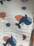 洁丽雅（grace）洁丽雅婴儿纱布毛巾口水巾纯棉洗脸宝宝儿童洗澡新生儿拍嗝小方巾 5条装【甜蜜系列】30*30 实拍图