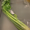 【24小时菜】大芹菜约400g 实拍图