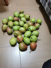 源自新疆红香酥梨新鲜梨子3/5/10斤脆甜皮薄梨子应季水果整箱批发 净重9斤普通小果 实拍图