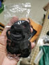 【强拉不断】高弹力耐用ins马尾无接缝皮筋扎头发简约发圈头绳 黑色60根 实拍图