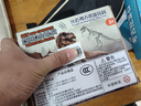 古欧儿童考古挖掘玩具恐龙化石大号骨架手工拼装鳄龙挖宝拼装圣诞礼物 实拍图