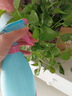 喷壶小型喷壶器浇花洒水壶糖果色喷壶喷水工具 糖果蓝色（1个装） 实拍图