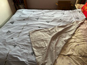 花熙雨100%全棉被套单件 1.5米单人纯棉被罩150斜纹条纹格子双人大被套 EZ拉菲-特 200*230cm单件被套 实拍图