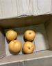 壹萌果蔬正宗山东冰糖梨脆甜当季新鲜秋季月丰水梨水果中秋送礼整箱发出 9斤精选果【单果250g+】净8.5斤 实拍图