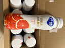 蒙牛纯甄高端轻酪乳风味酸奶红西柚口味230g*10瓶 送礼盒装 实拍图