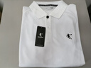 乔丹 短袖t恤男夏季新款棉质透气速干休闲服舒适时尚健身衣运动短袖男 白色-(POLO衫) L /175 实拍图