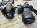 松下（Panasonic）【官方直营】FZ80D 入门级桥式数码照相机 60倍光学大变焦长焦 4K视频 O.I.S防抖 演唱会神器 实拍图