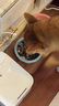 愛肯拿（ACANA）狗粮 海洋盛宴 成犬幼犬 靓毛鱼肉全价犬粮原装进口2kg 效期26/2 实拍图